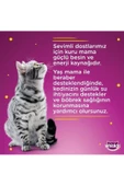 Whiskas Tastymix Kuzu ve Hindi Etli Yetişkin Kedi Maması 28 x 85 G - 4