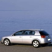 Opel Signum 2002-2008 Arka Bagaj Kapağı Amortisörü Pistonu 1 adet - 2