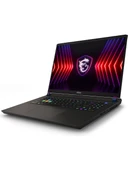 MSI Vector 17 HX A14VIG-879XTR i9-14900HX 32 GB 2 TB SSD RTX4090 17" Gaming Laptop - 3