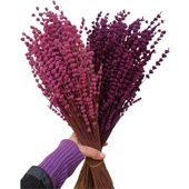 Şoklanmış Lavanta Demeti 110 Gram x 2 Adet Kırmızı - 1