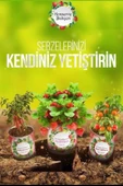 Konserve Bahçem Evde Konservede Sultani Bamya Yetiştirme Kiti - 4