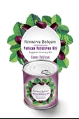 Konserve Bahçem Evde Konservede  Kemer Patlıcanyetiştirme Kiti - 2