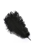 RAYTOYS OYUNCAK   400 PCS DECOR VIP BLACK BIRD FEATHER 400 ADET SİYAH KUŞ TÜYÜ SİYAH ŞEFFAF BALON TÜYÜ SÜSLEME TÜYÜ - 1