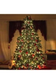 RAYTOYS OYUNCAK   Yılbaşı Ağacı Işığı 10 Metre Gün Işığı Led Işık 100 Led Lambalı 220v Ile Çalışır Noel Ağacı Işığı thumbnail 2
