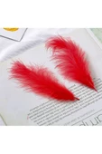 RAYTOYS OYUNCAK   400 PCS DECOR RED BIRD FEATHER 400 ADET KIRMIZI TÜY KIRMIZI ŞEFFAF BALON TÜYÜ SÜSLEME TÜYÜ - 2