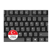 Everest KM-615 Siyah Usb Combo Q Standart Klavye + Mouse Set - 32914 - 3