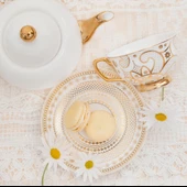 Cristina Re Teacup Georgia Lace Pearl thumbnail 3