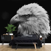 Siyah Beyaz Kartal Temalı Duvar Kağıdı Baskı thumbnail 2