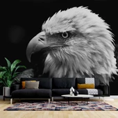 Siyah Beyaz Kartal Temalı Duvar Kağıdı Baskı thumbnail 1