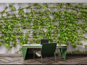 Sarmaşıklı Duvar Teması Duvar Kağıdı Baskı thumbnail 4