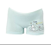 12 Adet Kota Kız Çocuk Baskılı Boxer Karışık Renk 3409 thumbnail 3