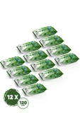 DEX Aloe Vera Islak Havlu 12 Adet 120'li - 1