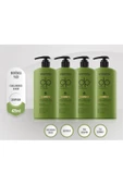 DP DAİLY PERFECTİON 4 Adet Moringa Yağı Şampuan 425 Ml Set - 1