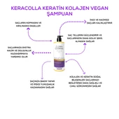 Dörtlü Keracolla Vegan Keratin Kolajen Şampuan Seti - 2