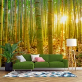 Bambu Ormanı Temalı Duvar Kağıdı thumbnail 1