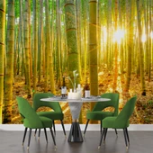 Bambu Ormanı Temalı Duvar Kağıdı thumbnail 5