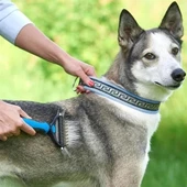 Plastik Saplı Metal Kedi Köpek Bakım Kıtık Tüy Topak Açıcı Tarak - 2