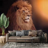 Aslan Temalı Duvar Kağıdı - 1