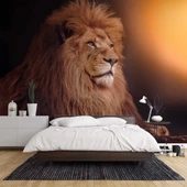 Aslan Temalı Duvar Kağıdı - 2