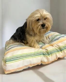 Rainbow Plain Kedi Köpek Minderi 80 x 70 cm - 3