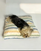 Rainbow Plain Kedi Köpek Minderi 80 x 70 cm - 2