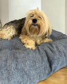 Denim Blue Kedi Köpek Minderi 70 x 60 cm - 2