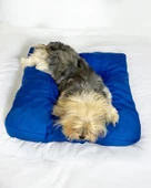 Bright Navy Kedi Köpek Minderi 80 x 65 cm - 3