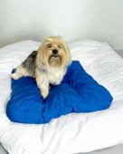 Bright Navy Kedi Köpek Minderi 80 x 65 cm - 1