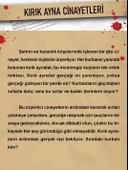 DEDEKTİF VAKA ÇÖZME OYUNU KIRIK AYNA CİNAYETLERİ VAKASI SERİ KATİL DOSYASI - 2