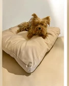 Mini Beige Kedi Köpek Minderi 65 x 65 cm - 1