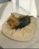 Tiny Pouch Kedi Köpek Minderi 60 x 50  cm - 3