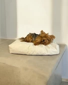 Mini Mini Pouch Kedi Köpek Minderi 65 x 40  cm - 1