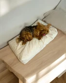 Mini Mini Pouch Kedi Köpek Minderi 65 x 40 cm - 2