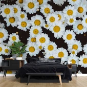 Papatya Temalı Duvar Kağıdı Baskı thumbnail 2