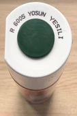 Akçalı Yosun Yeşili R 6005 Alüminyum-ahşap-plastik-demir-metal-sprey Boyama 400 ml - 1
