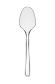 NAKSAN Plastik Lüks Kaşık 100 Lü - 1