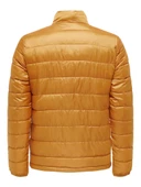 ONSCARVEN QUILTED PUFFER OTW NOOS Pumpkin Pumpkin M - 2