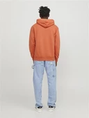 JORVESTERBRO SWEAT HOOD NOOS Ginger Ginger XL - 3