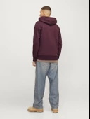 JJALVIS SWEAT HOOD Wine Wine L - 5