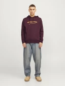 JJALVIS SWEAT HOOD Wine Wine L - 3