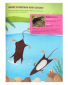 Yaratıcı Etkinliklerle Ekoloji Akdeniz İklimi thumbnail 2