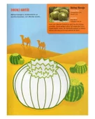 Yaratıcı Etkinliklerle Ekoloji Çöller thumbnail 2