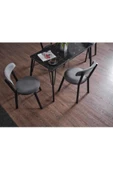 EVİANA Kagu Tetra Mutfak - Balkon Masa Sandalye - 3