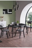 EVİANA Kagu Tetra Mutfak - Balkon Masa Sandalye - 1