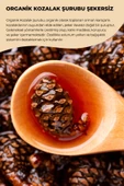 payitaht hurma KOZALAK ŞURUBU ŞEKERSİZ 230GR - 2