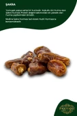 payitaht hurma Medine Şakra Hurması 24 Paket Tadımlık 100GR Yeni Mahsul Yüksek Protein Değerli Yumuşak Yapılı Set - 3