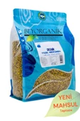 payitaht hurma YEŞİL MERCİMEK  2,5KG - 1