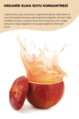 payitaht hurma ELMA SUYU KONSANTRESİ 685ML - 2