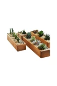 TROPİKAL Kaktüs Standı Kanal 30x10 Cm - 1