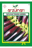 Arzuman Kemer Patlıcan Tohumu 10 Gram - 1